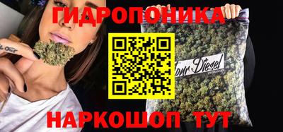 a pvp Камень-на-Оби