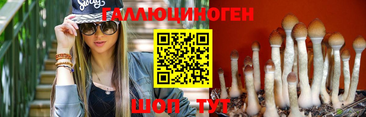 Псилоцибиновые грибы мухоморы  Вход с VPN  Отрадный 